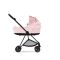 Cybex Mios Kinderwagen 2 In 1 Simply Flowers Pale Blush 2022