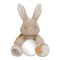 Little Dutch Activity Plush Baby Bunny