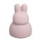 Baby's Only Rabbit Piggy Bank Old Pink